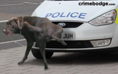 “Whatcha gonna do when they come for you?”