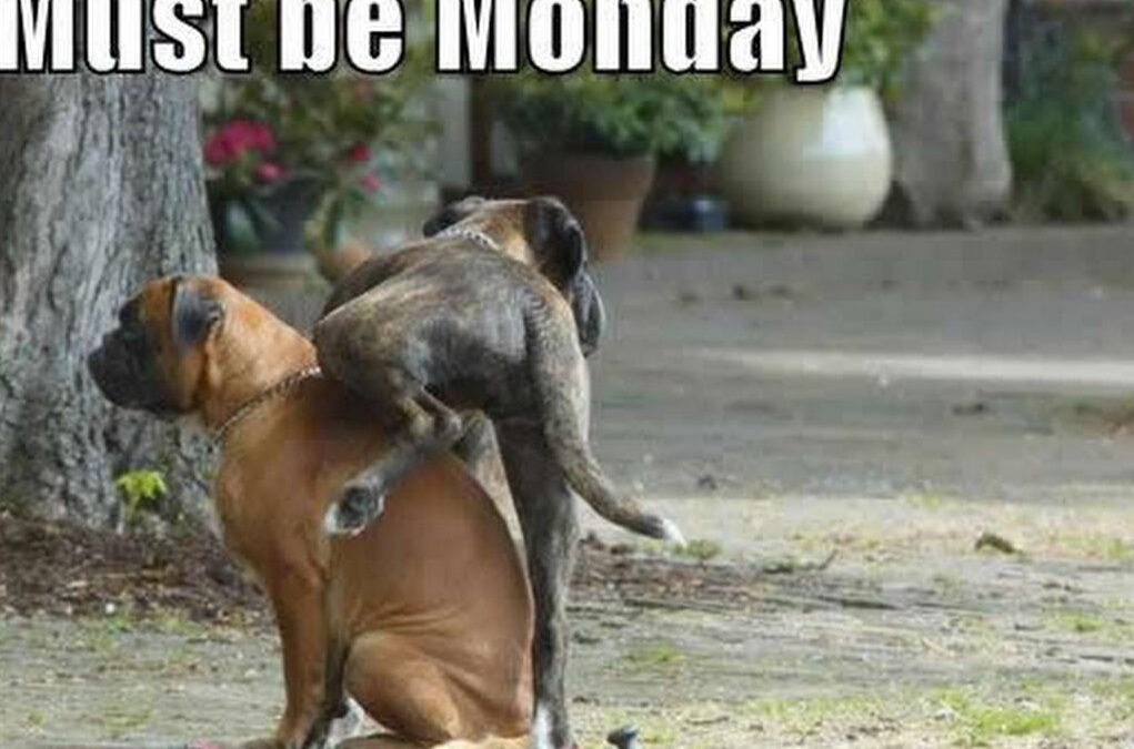 Monday morning black hole breakdown