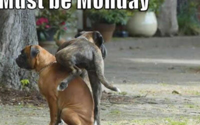Monday morning black hole breakdown