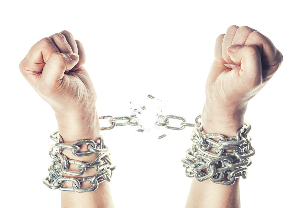 Guest Post: Overcoming your fear of improvement