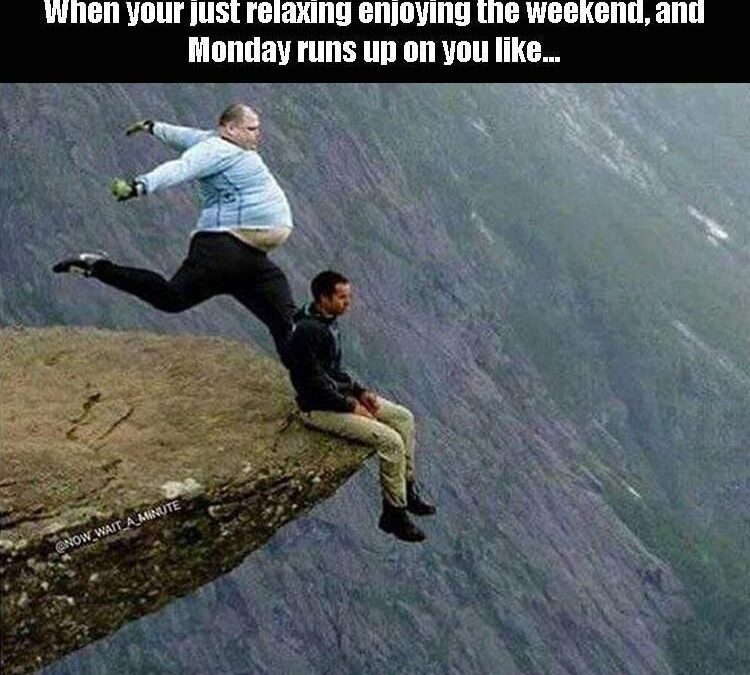 Monday morning Spidey-senses