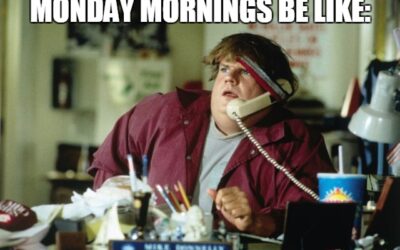 Monday morning Hawaii Five-Oh-S**t