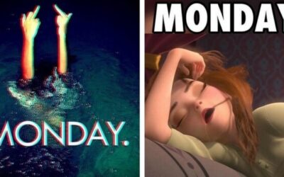Monday morning fight blub