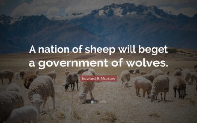Wolf law