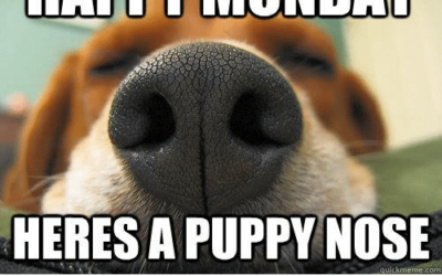 Monday morning Faceborg fails