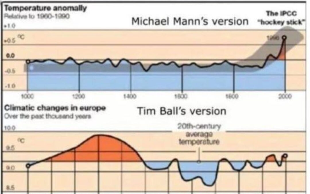 Guest Post: The Climate CRYsis by The Male Brain