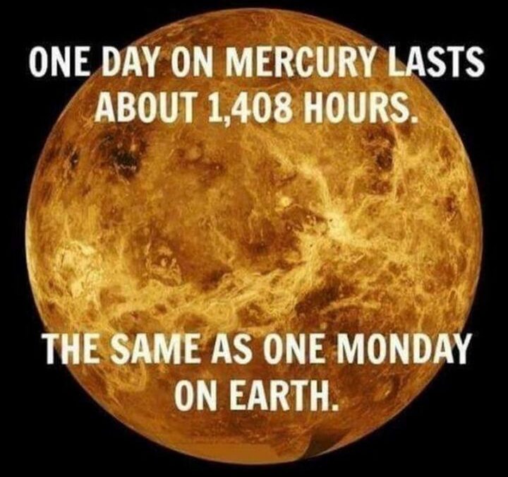 Monday morning pissing off pungent pansies
