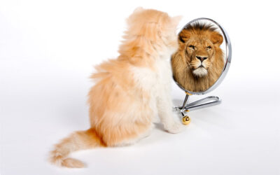 Wars of perception and reality