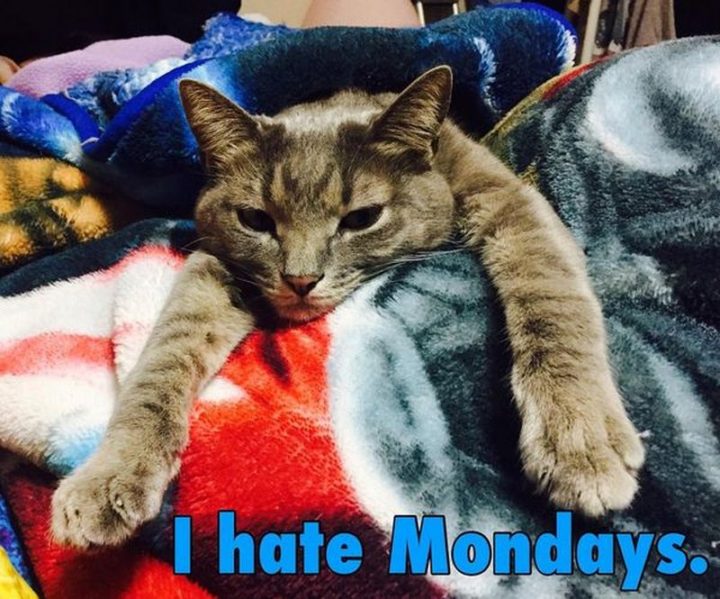 Monday morning Bidenflation