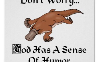 Man plans – God laughs
