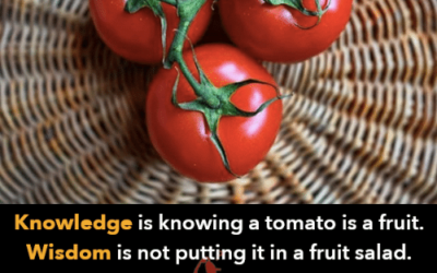 Domain Query: Fruit Salad