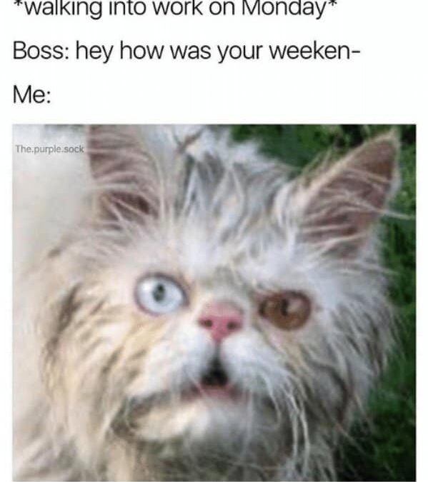 Monday morning death by PowerPoint