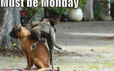 Monday morning turkey & Tums