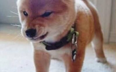 Monday morning Purim prep