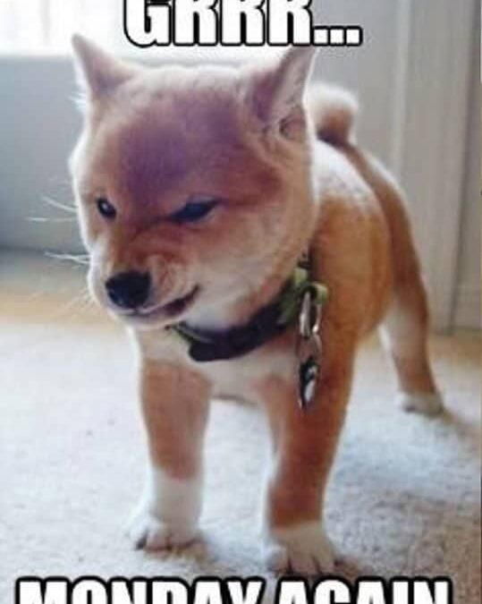 Monday morning Purim prep