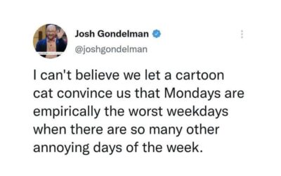 Monday morning WordPress woes