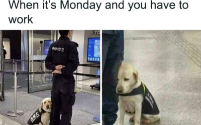 Monday morning whack-a-Nazi