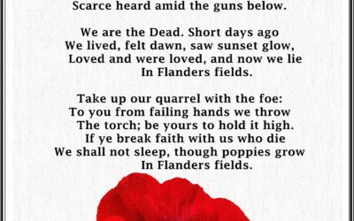 Monday morning in Flanders Fields