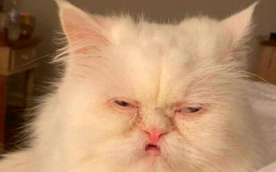 Monday morning giving tanks