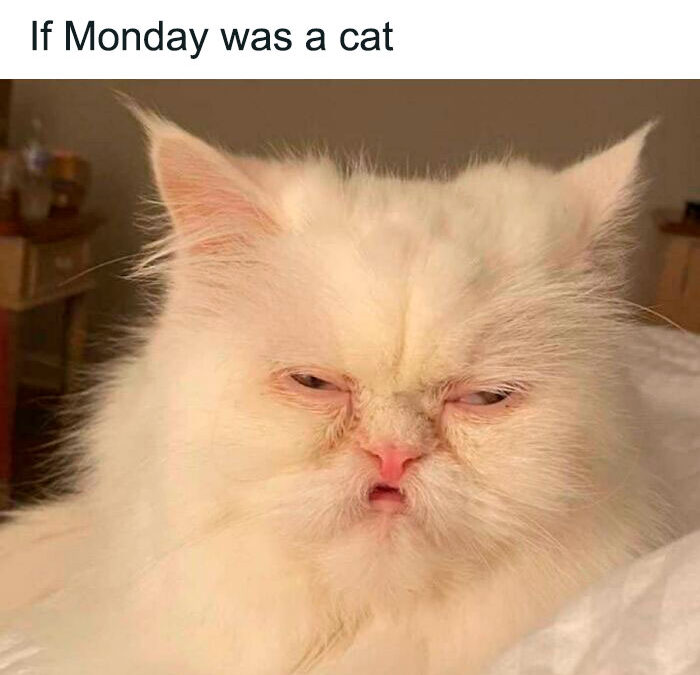 Monday morning giving tanks