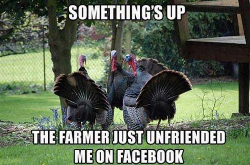 People in a fowl mood talking turkey