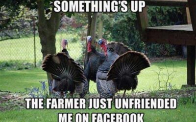 People in a fowl mood talking turkey