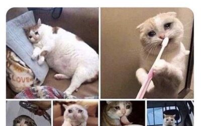 Monday morning Hanukkah hangout