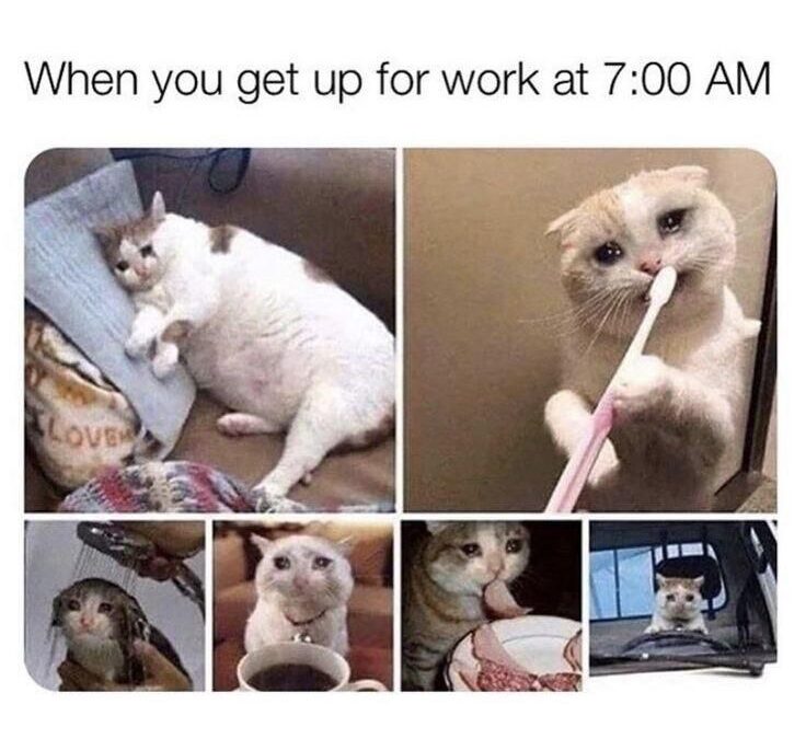 Monday morning Hanukkah hangout