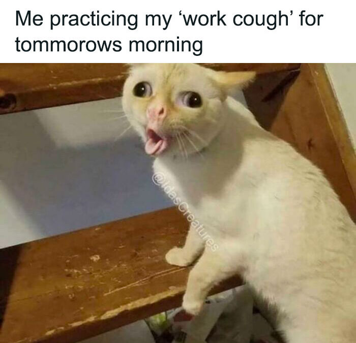 Monday morning with Crash Bandicoot