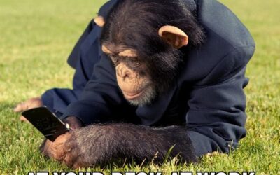 Monday morning depopulation bomb