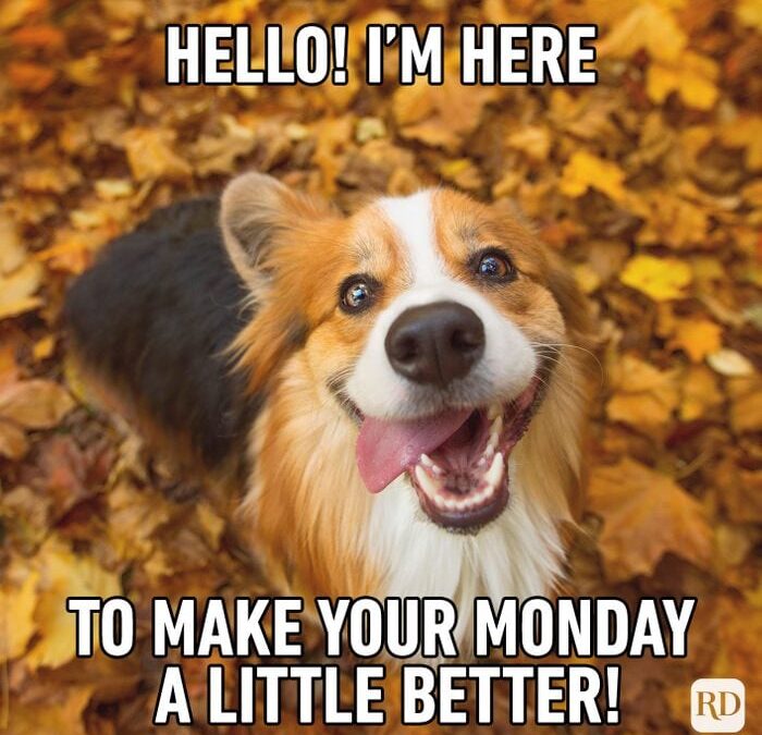 Monday morning Nimrod nitpicking