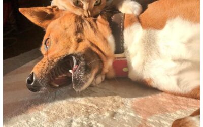 Monday morning friendship is magic