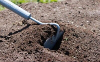 Breaking a proper garden tool