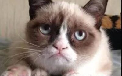 Monday morning Argy-bargy