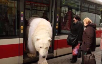 A proctologist’s guide to Russophobia