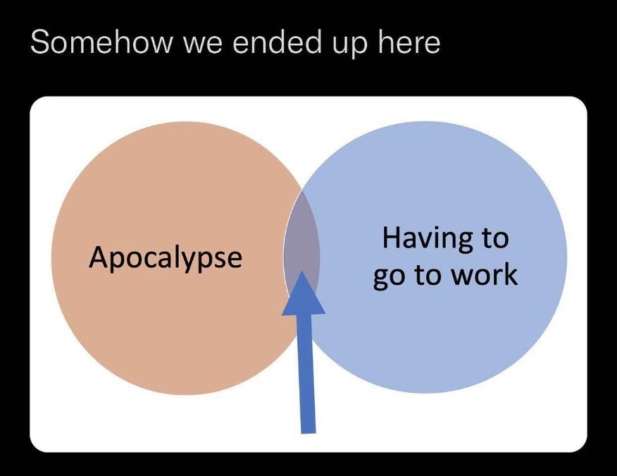 Monday morning return to reality