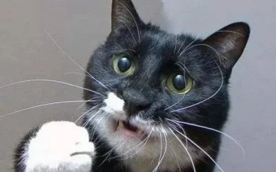 Monday morning Wii works