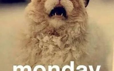 Monday morning Eyetie approvals