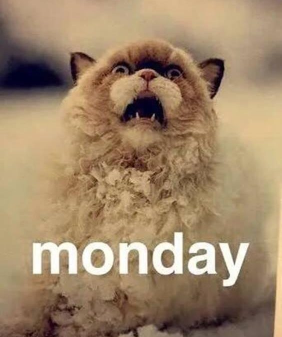 Monday morning Eyetie approvals