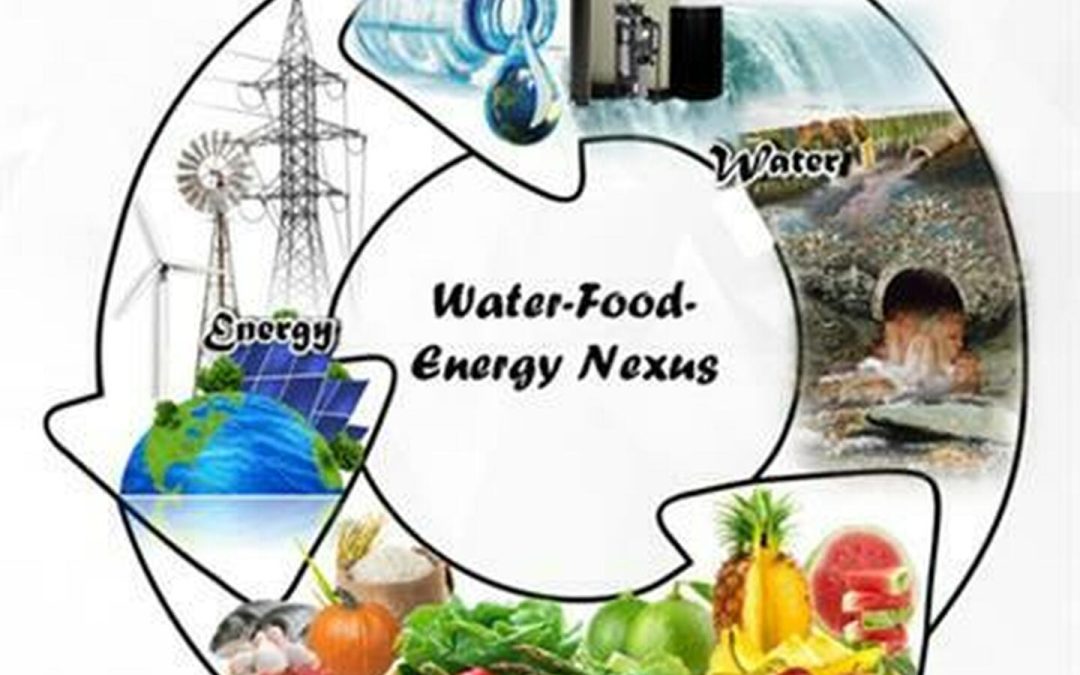 The fundamental forces of geopolitical power