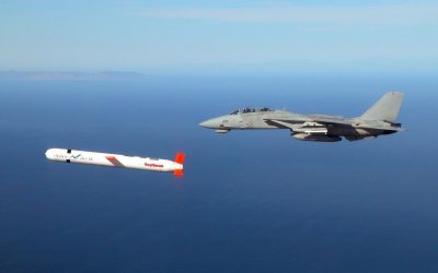 All bone and no steak