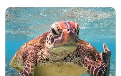 Monday morning Badlands bashing