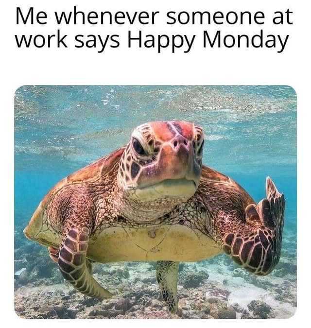 Monday morning Badlands bashing