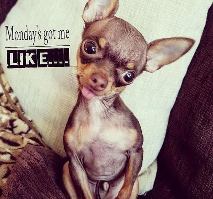 Monday morning Ferrari failing