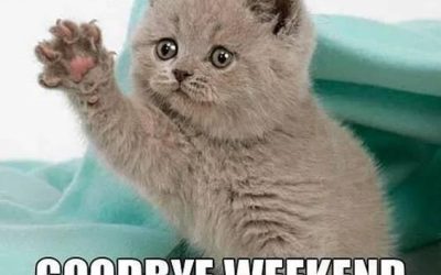 Monday morning space battleships