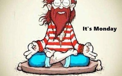 Monday morning pander bear